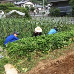 活動/実践